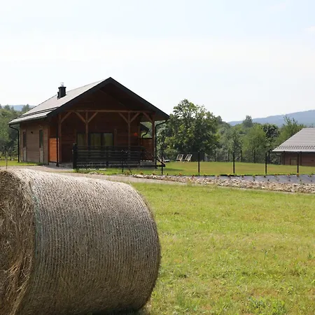Klonowy Zakatek Villa *
